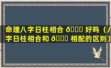 命理八字日柱相合 🐈 好吗（八字日柱相合和 🐛 相配的区别）